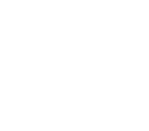 VX NETWORK
